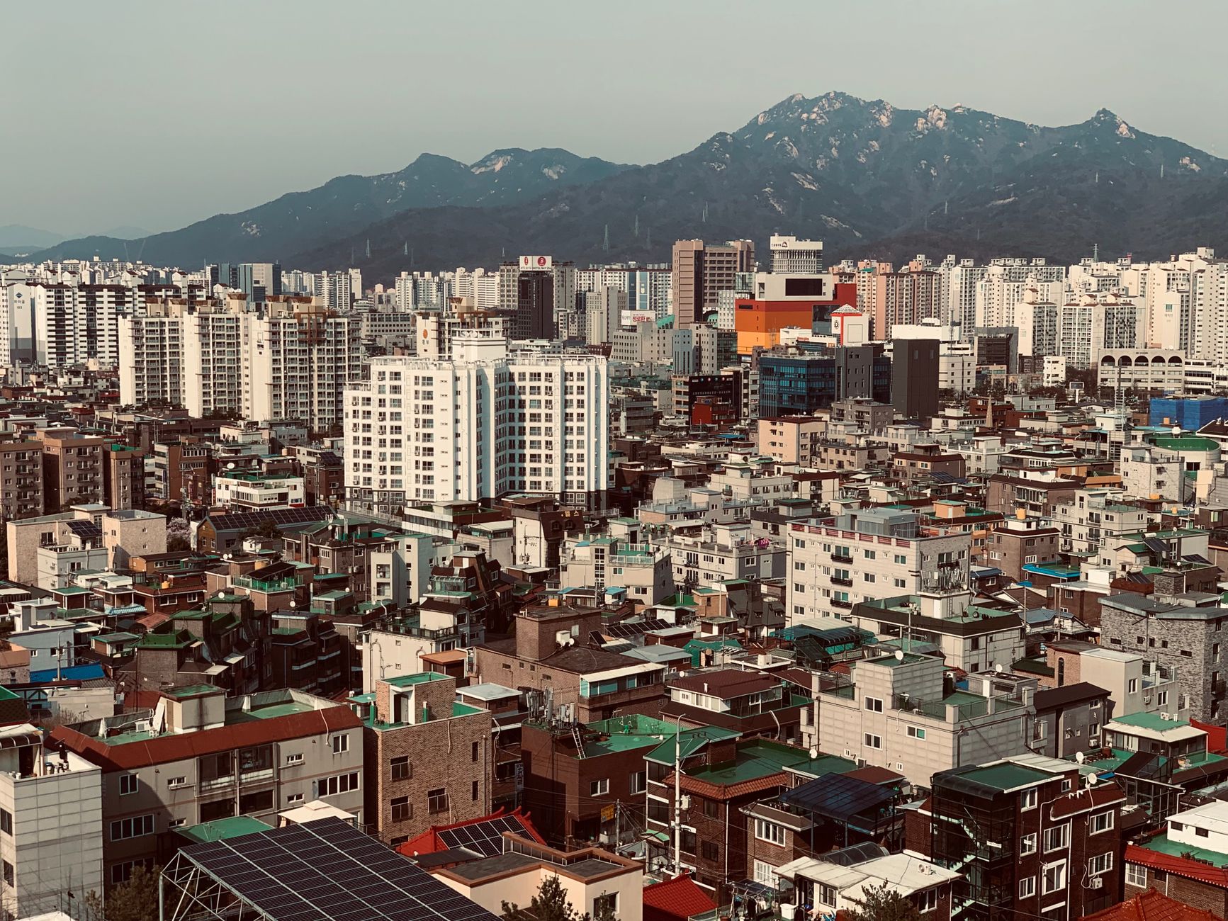Photo by piu aka on Pexels