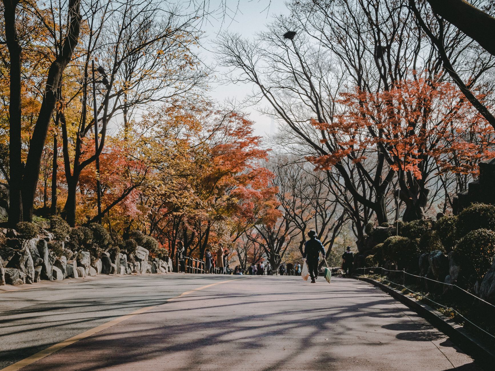 Photo by Marius Mann on Pexels