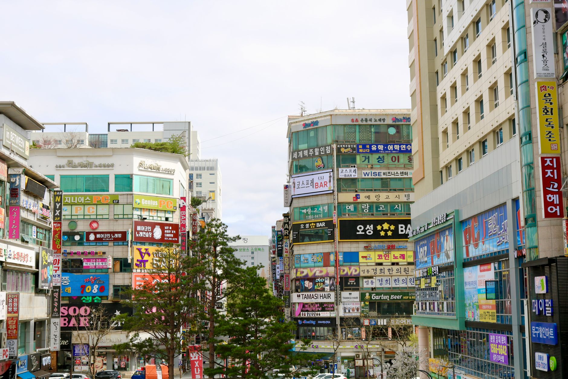 Photo by Kate Weirick on Pexels