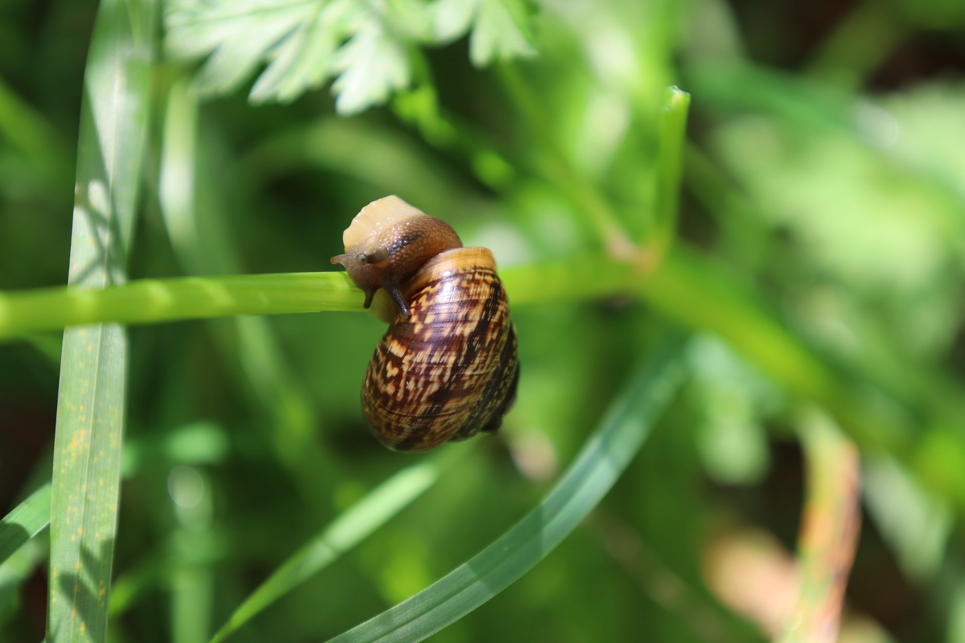 Photo by Danny Photography on Pexels