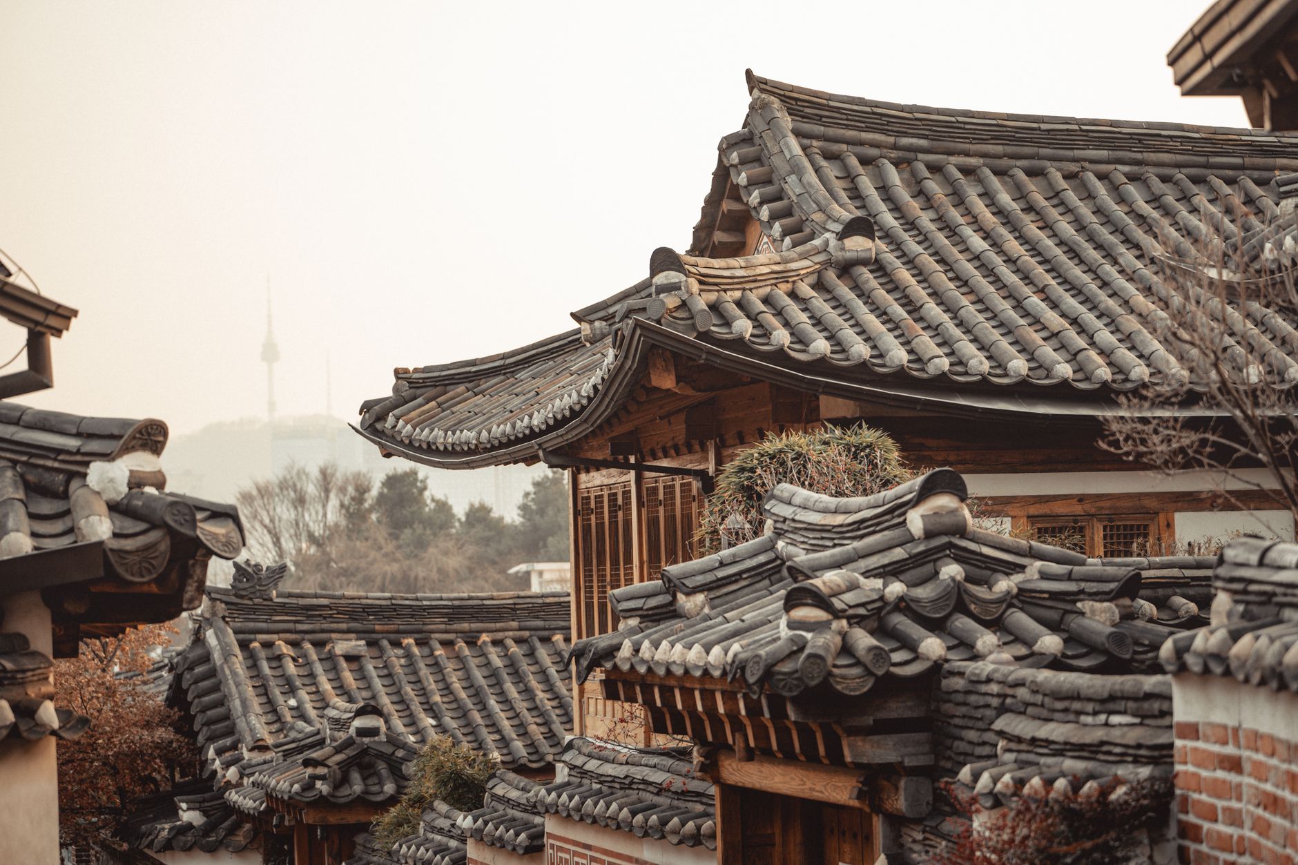 Photo by Line Knipst on Pexels