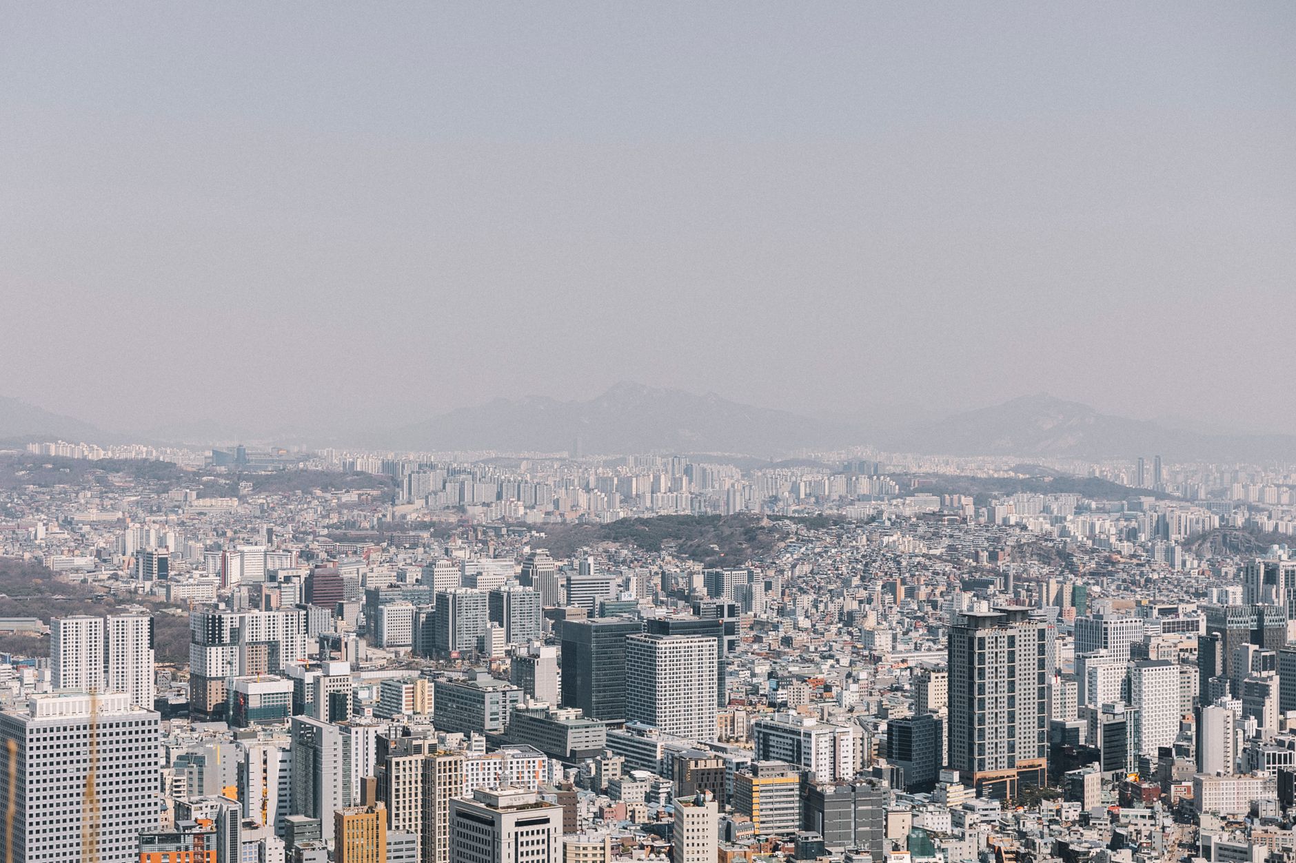 Photo by Elina Volkova on Pexels