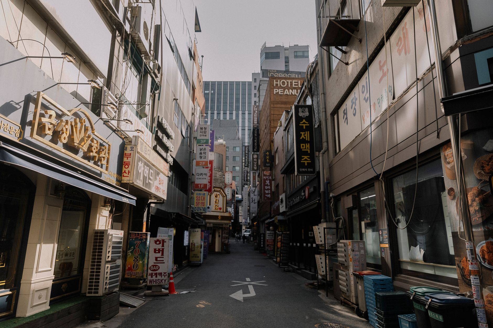 Photo by Elina Volkova on Pexels