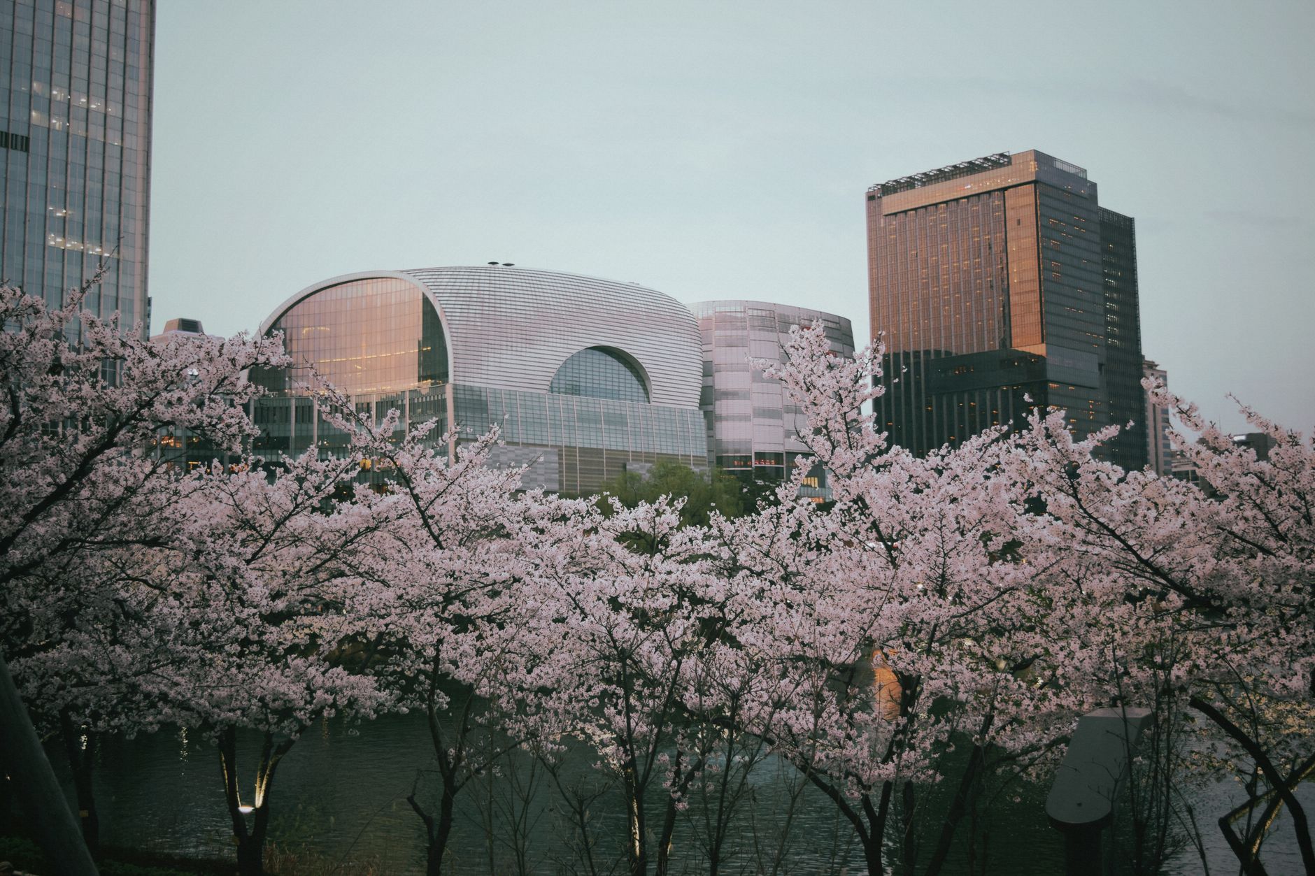 Photo by Gyubeen Hong on Pexels