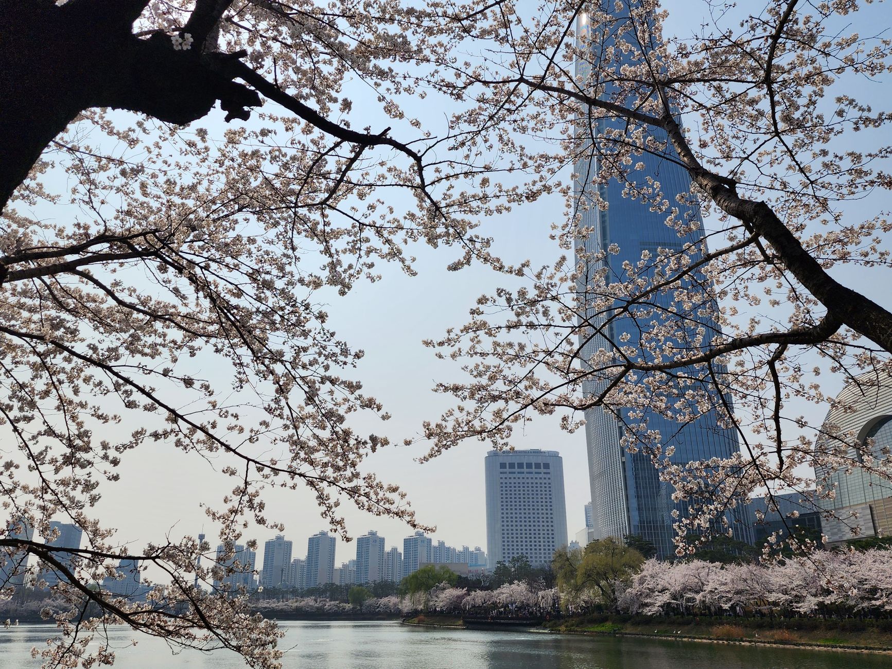 Photo by 빈앤플 럽 on Pexels