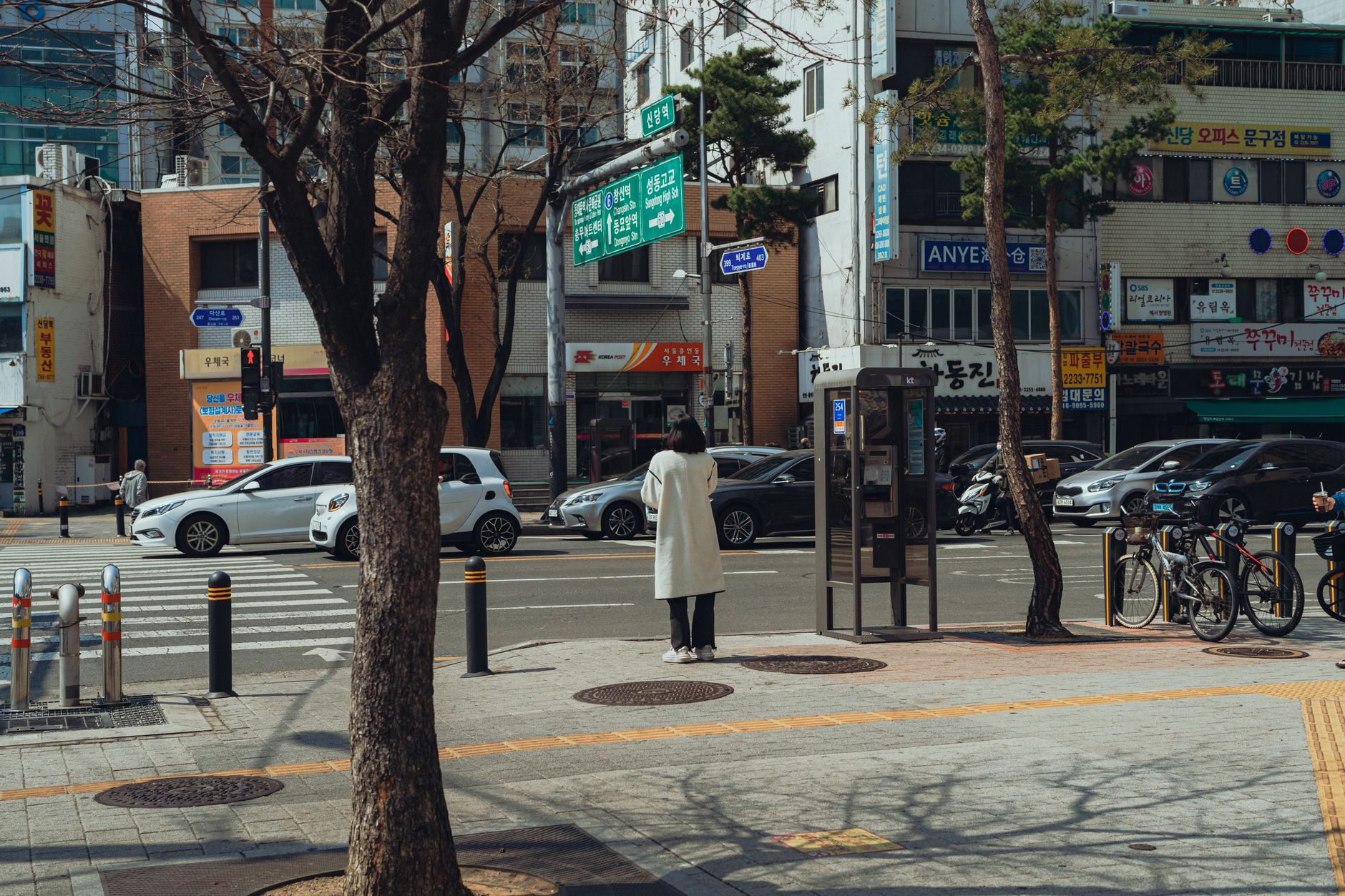 Photo by Theodore Nguyen on Pexels