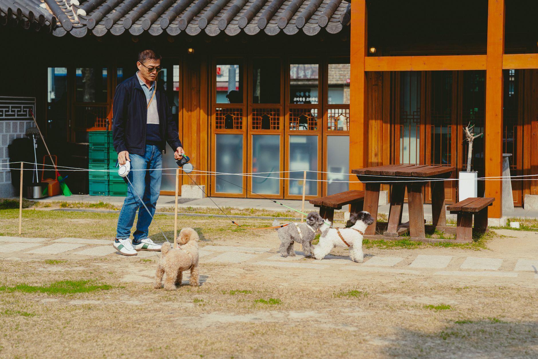 Photo by Theodore Nguyen on Pexels