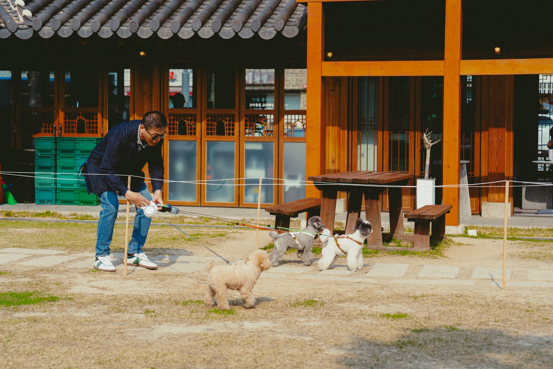 Photo by Theodore Nguyen on Pexels