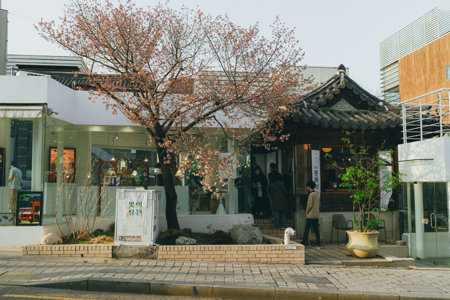 Photo by Theodore Nguyen on Pexels