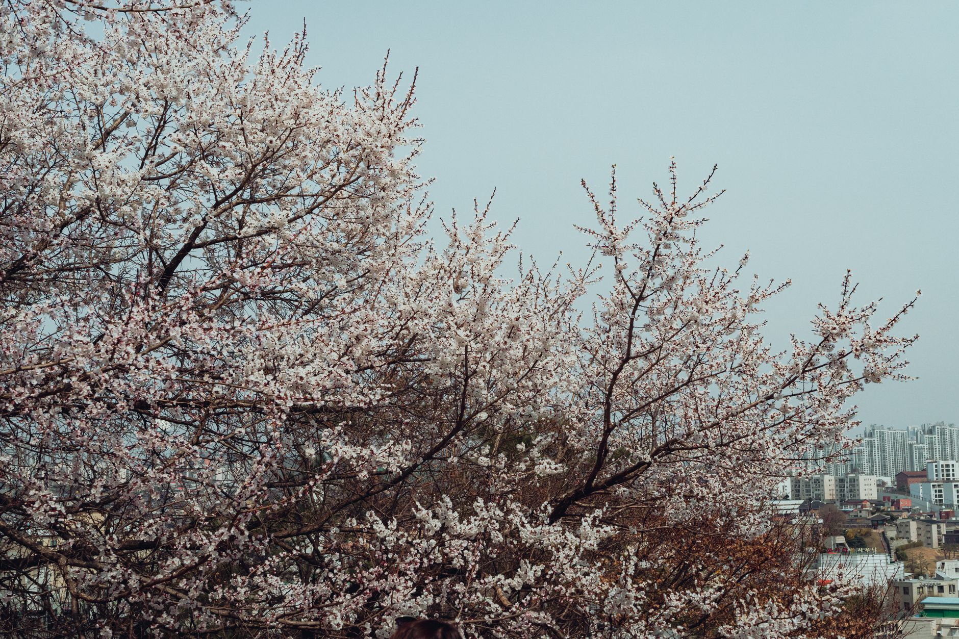 Photo by Theodore Nguyen on Pexels