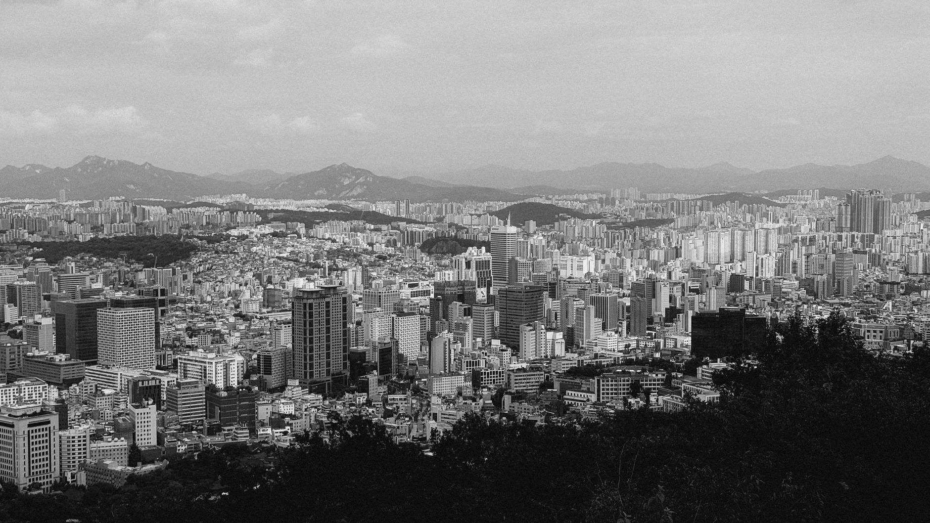 Photo by Anh Nguyen on Pexels
