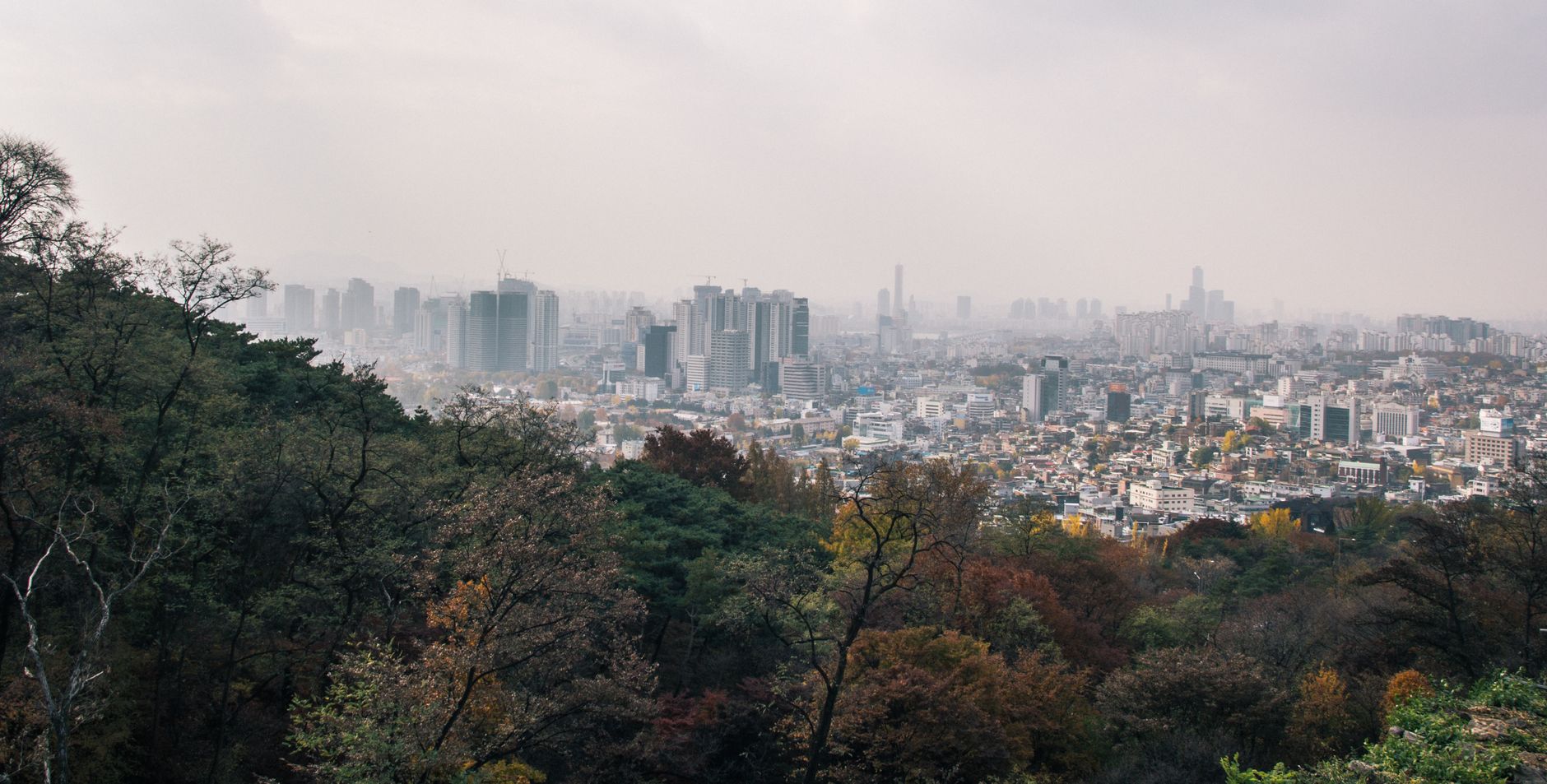 Photo by Tranmautritam on Pexels