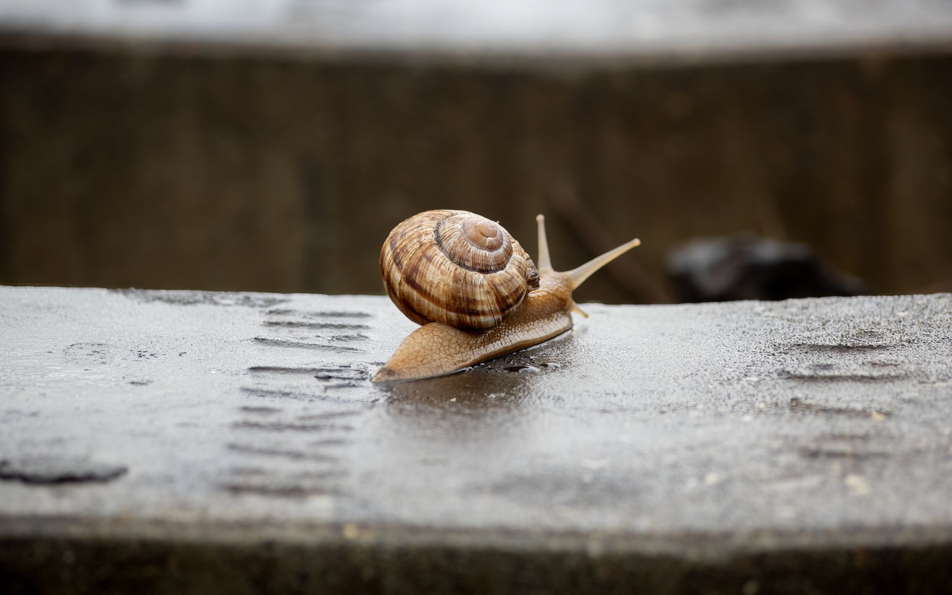 Photo by Genadi Yakovlev on Pexels
