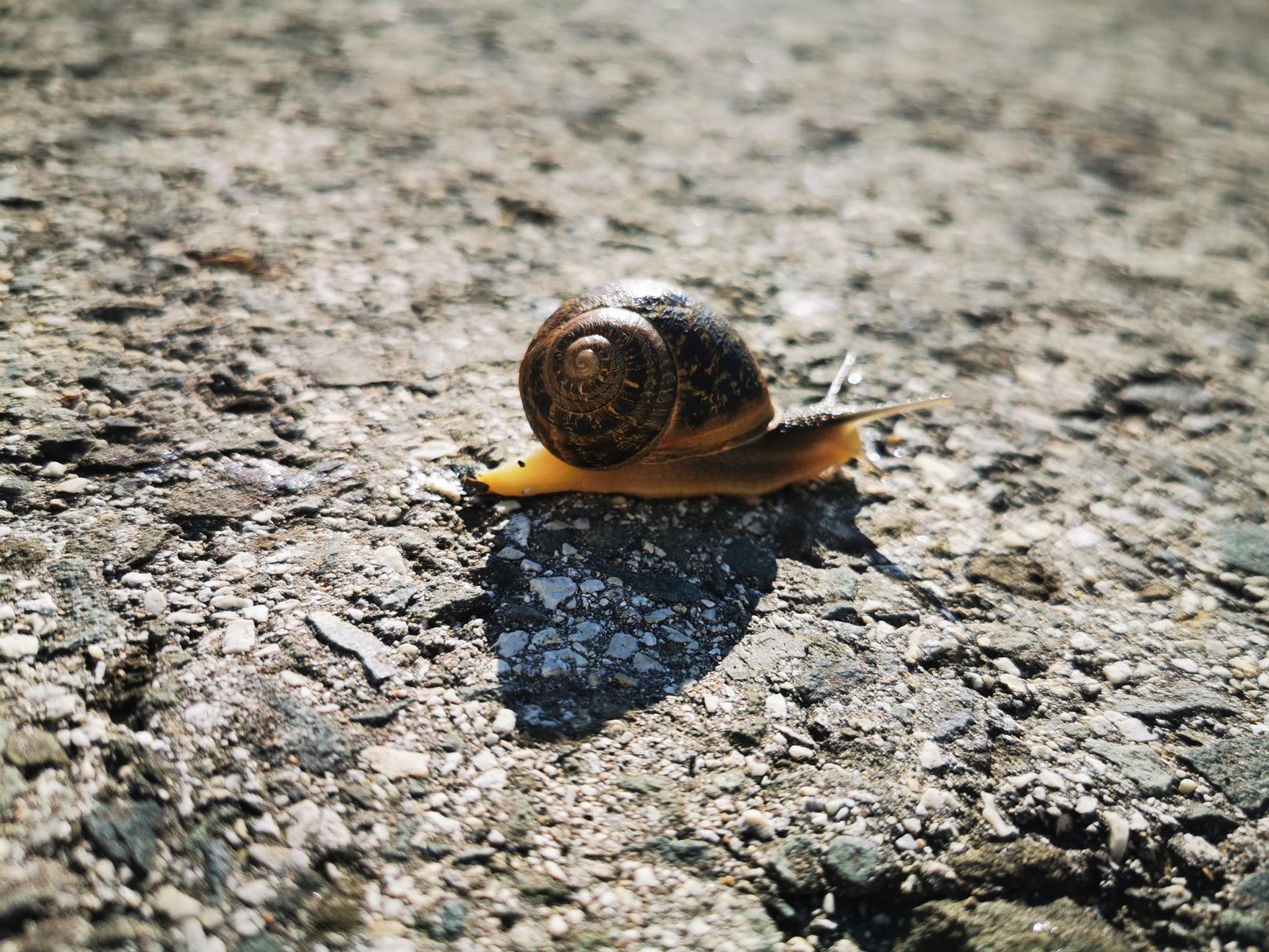 Photo by Raluca Ioana  Man on Pexels